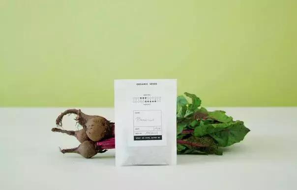 对于可持续发展的个人见解,可持续发展是否真的可持续