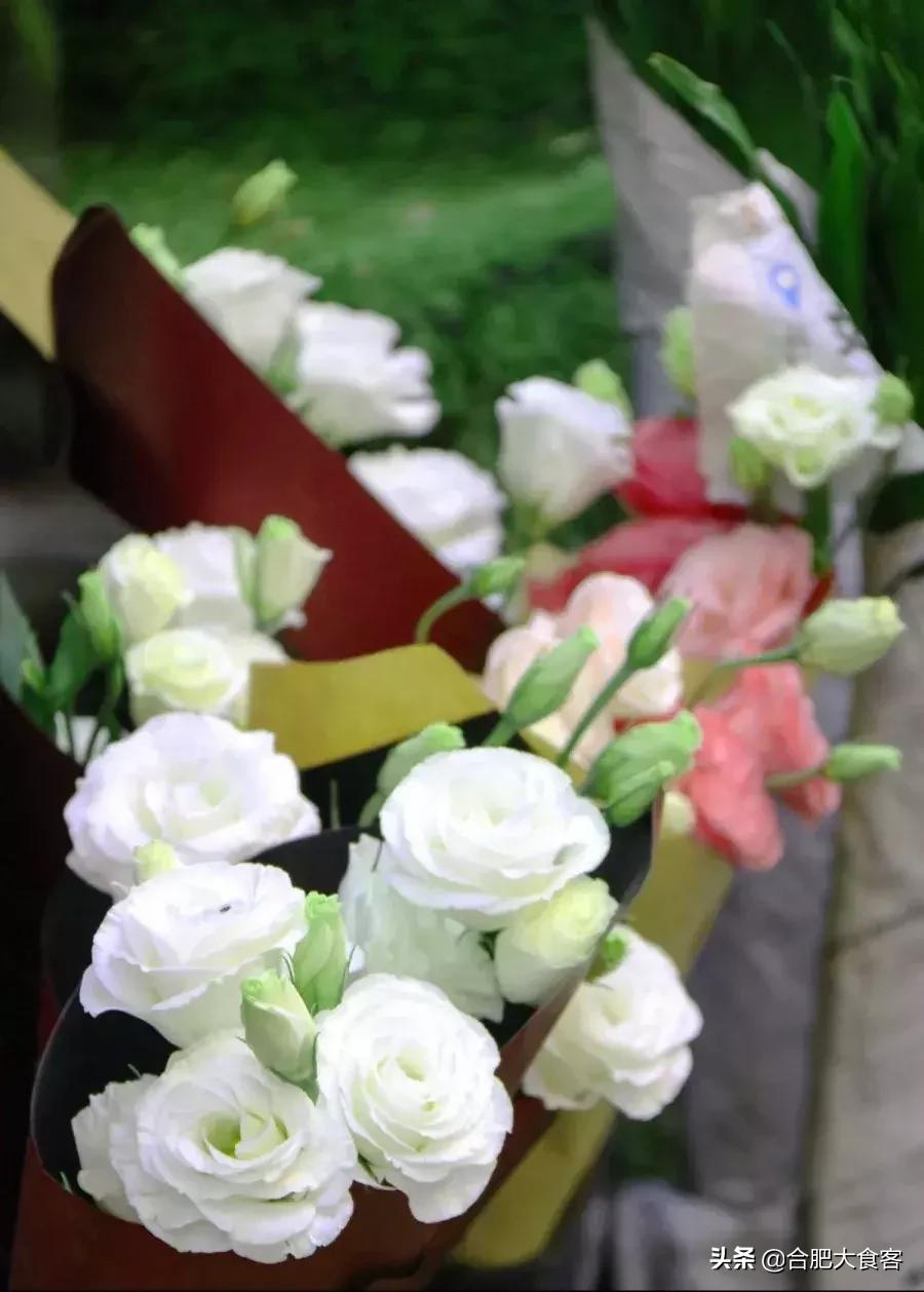 <html>
<head><title>502BadGateway</title></head>
<body>
<center><h1>502BadGateway</h1></center>
<hr><center>nginx</center>
</body>
</html>
<!--apaddingtodisableMSIEandChromefriendlyerrorpage-->
<!--apaddingtodisableMSIEandChromefriendlyerrorpage-->
<!--apaddingtodisableMSIEandChromefriendlyerrorpage-->
<!--apaddingtodisableMSIEandChromefriendlyerrorpage-->
<!--apaddingtodisableMSIEandChromefriendlyerrorpage-->
<!--apaddingtodisableMSIEandChromefriendlyerrorpage-->
