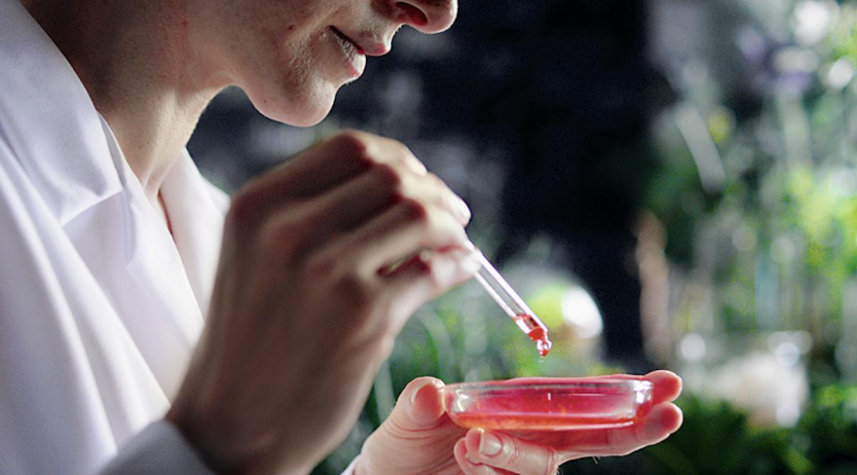 德国安娜柏林和菲茨哪个好,安娜柏林护肤品测评