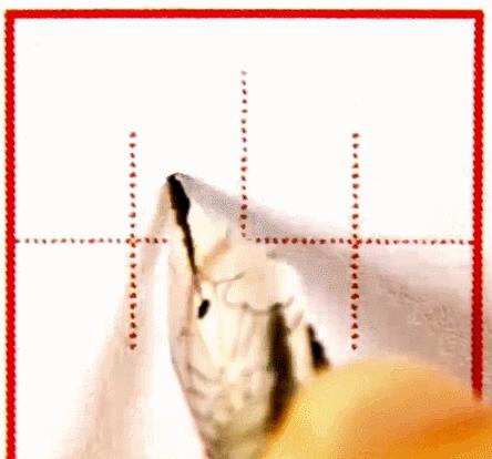 练字学写字,练字绝招教你快速学好字