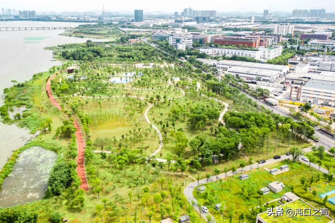 沌口南太子湖绿道,沌口绿道在哪里