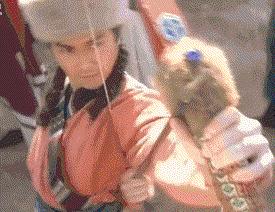 郭靖黄蓉黄日华版,郭靖黄日华射雕场面