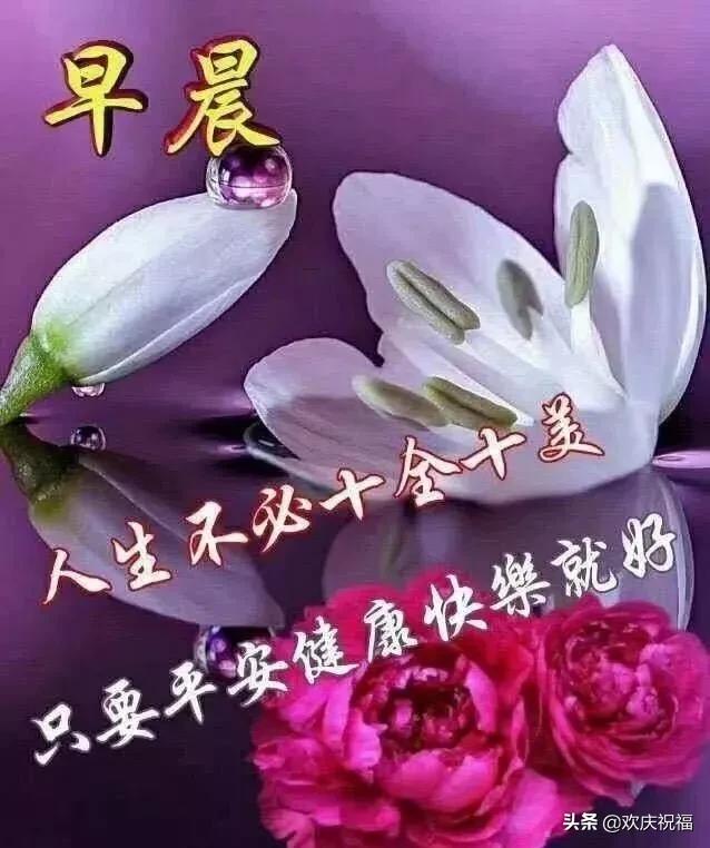 星期三早安图片大全大图,星期五的早安图片大全