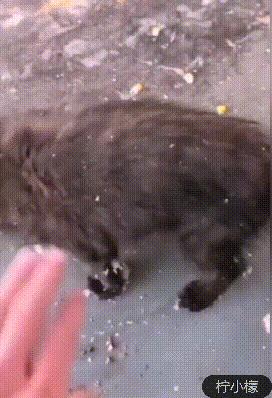 发了个“仅一人可见”的朋友圈向男神表白，结果扎心了哈哈哈哈哈