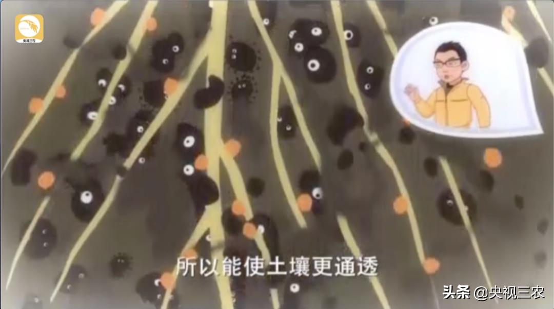 奶牛不孕症最佳治疗方法,奶牛受胎率低什么原因