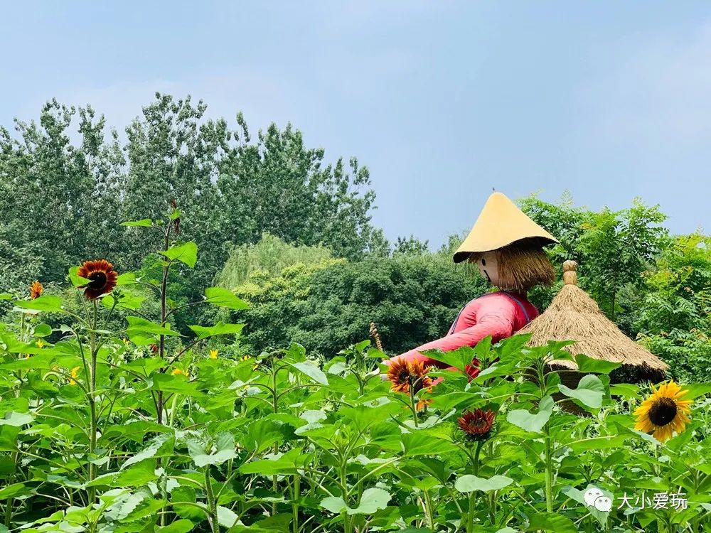 北京再添新乐园，未开先火、全年龄畅玩～六大欢乐目的地，快收藏