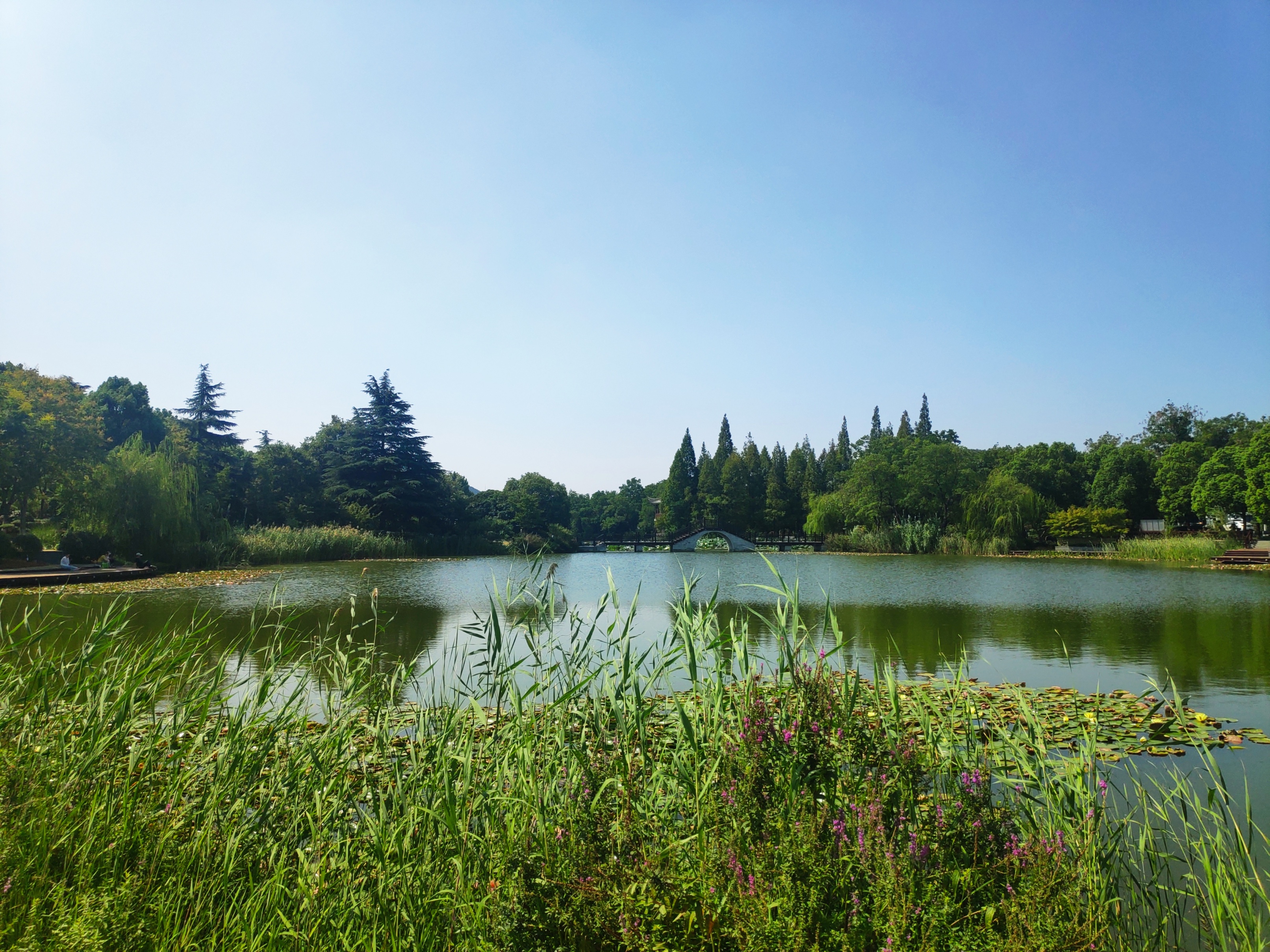 徐州彭祖楼和彭祖园,彭祖园石雕