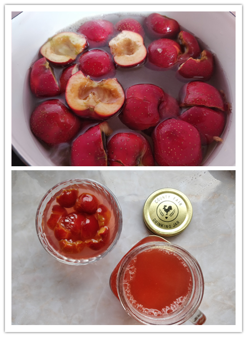 吃山楂好处有哪些,吃山楂有什么好处呢