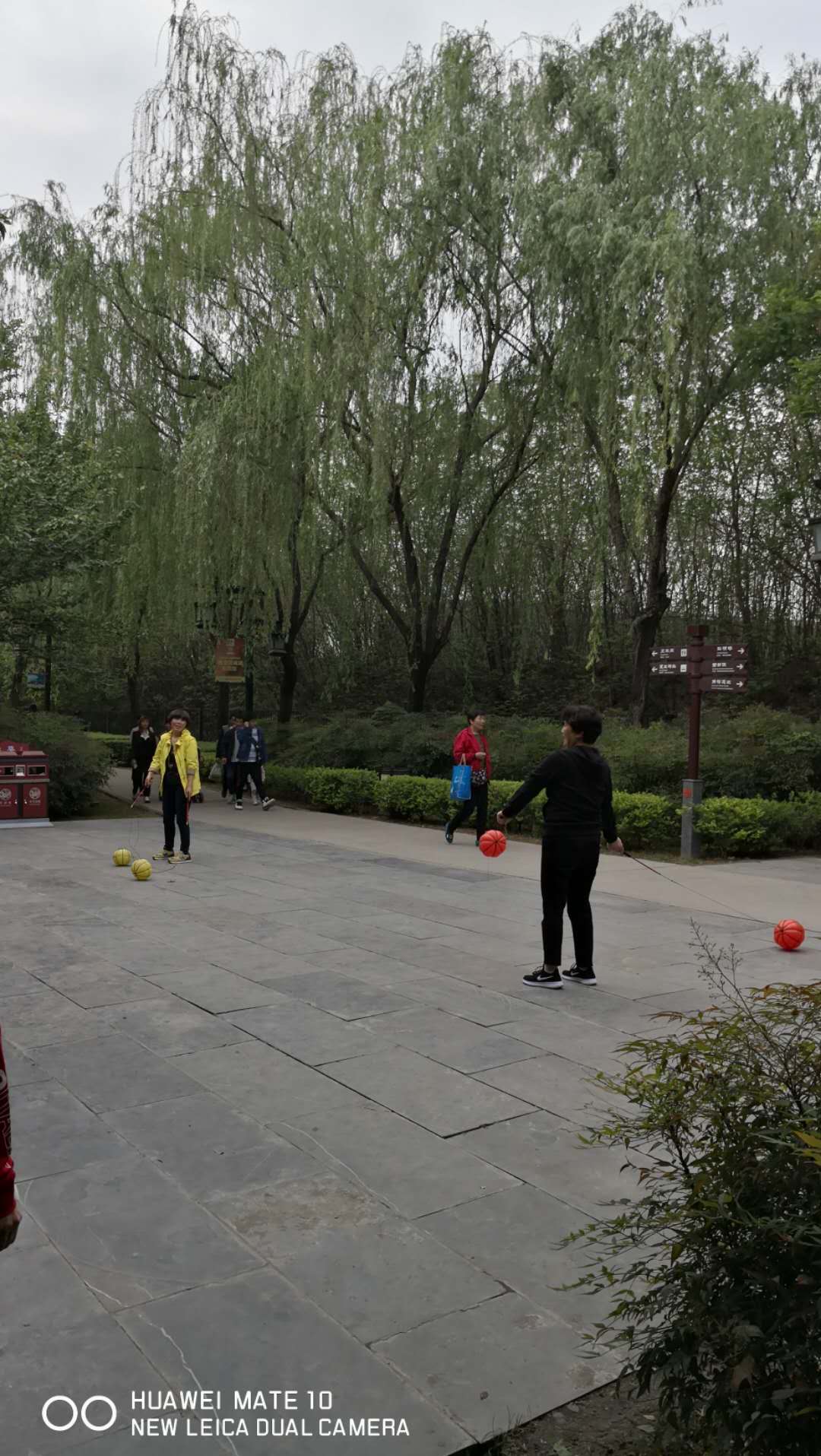 一天去哪玩西安,免费西安一日游的绝佳去处