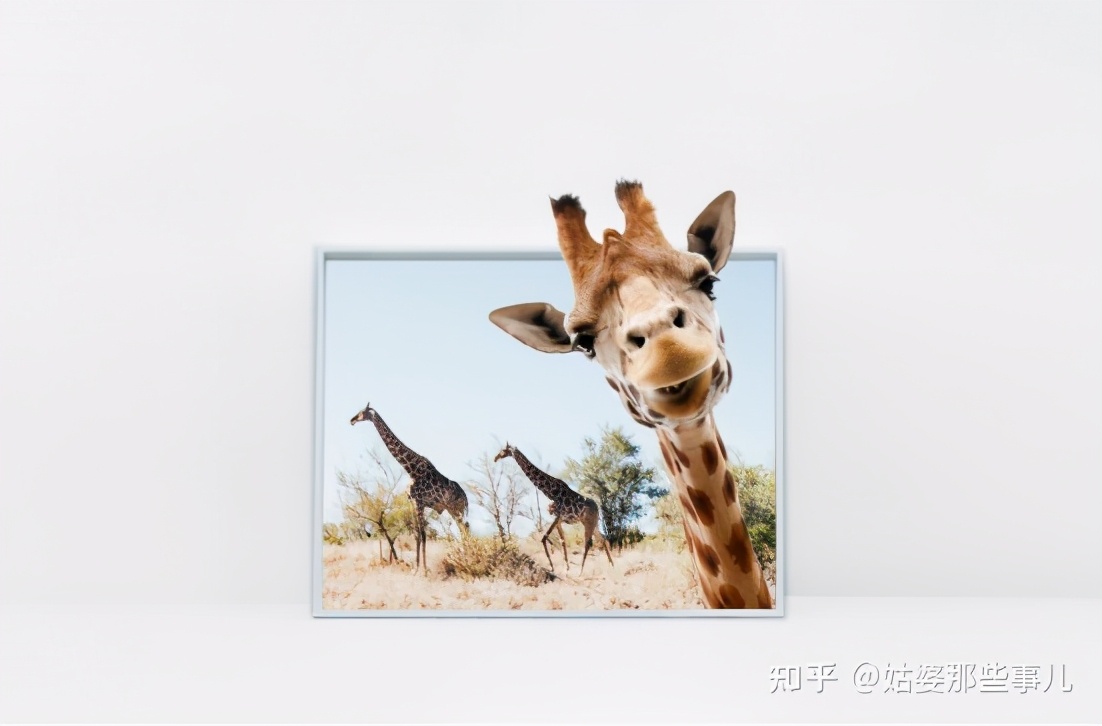 ps怎么抠图抠得干净好看,ps抠图怎么抠得干净