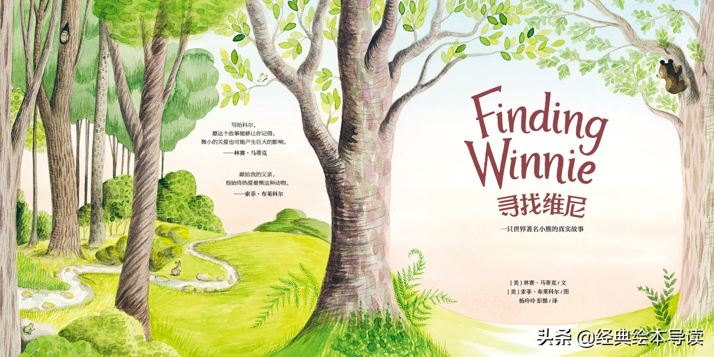 一只世界著名小熊的真实故事——《寻找维尼》导读