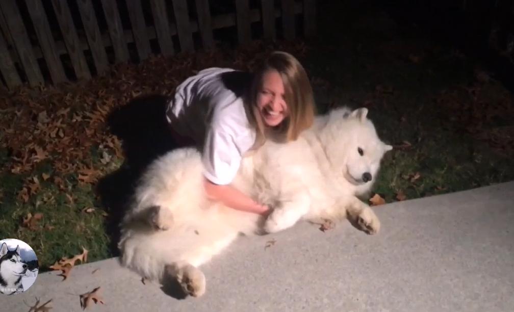 大白狗在公园交了“女友”，拒绝跟主人回家：感觉失恋了