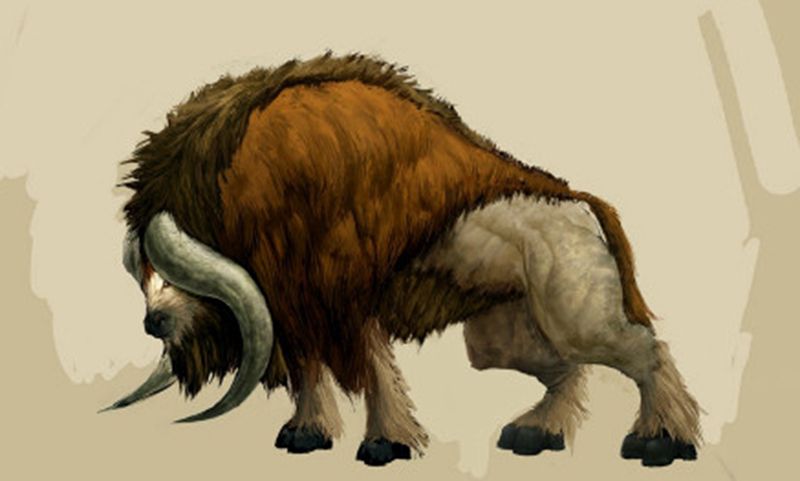 让人惊叹的动物有哪些,令人惊艳的17种动物绝对罕见