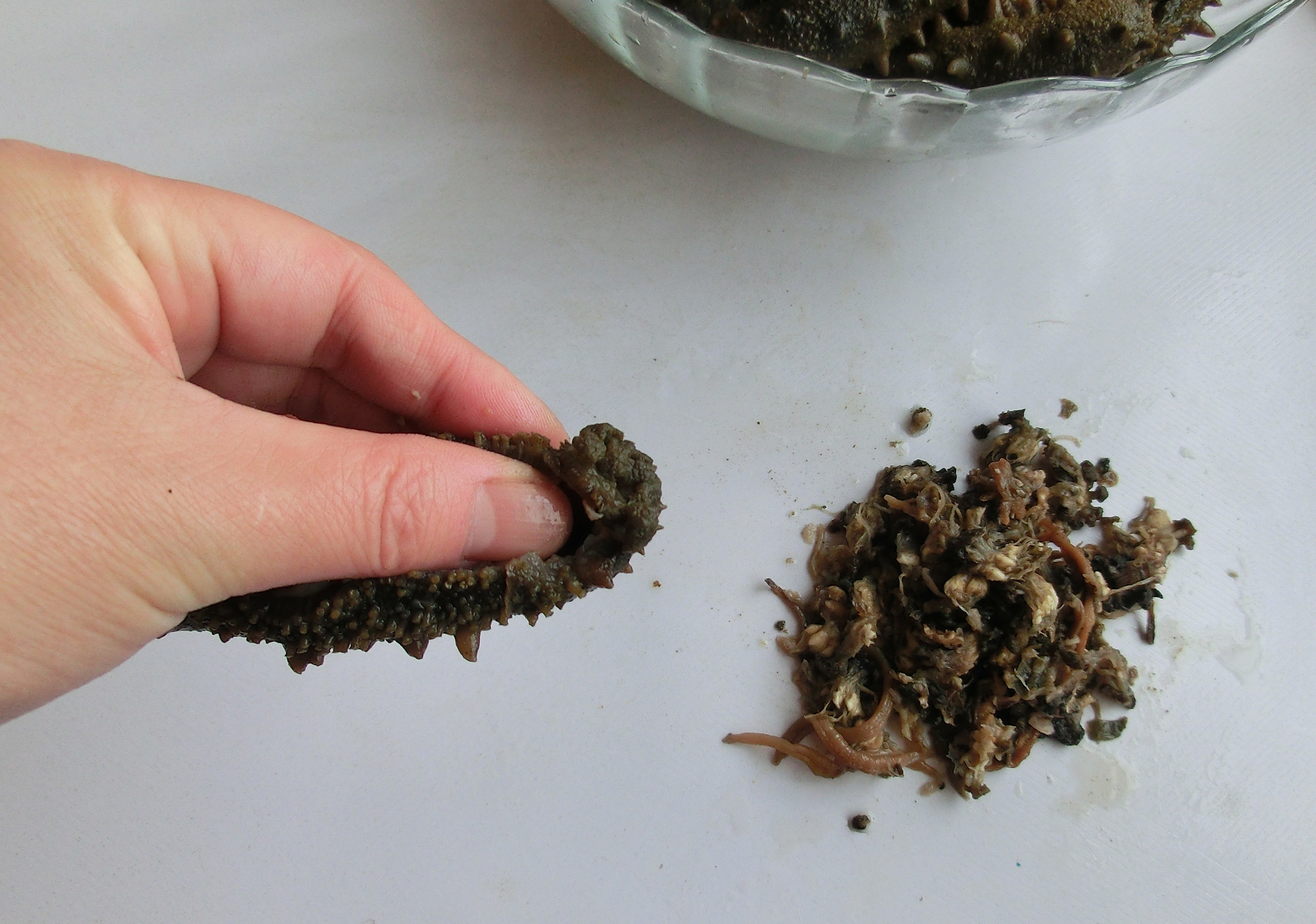 海参怎这么贵呢,海参的正确泡发方法和做法