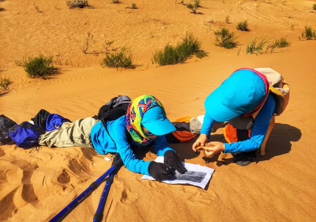 限时领券抢满减优惠,限时优惠抢券