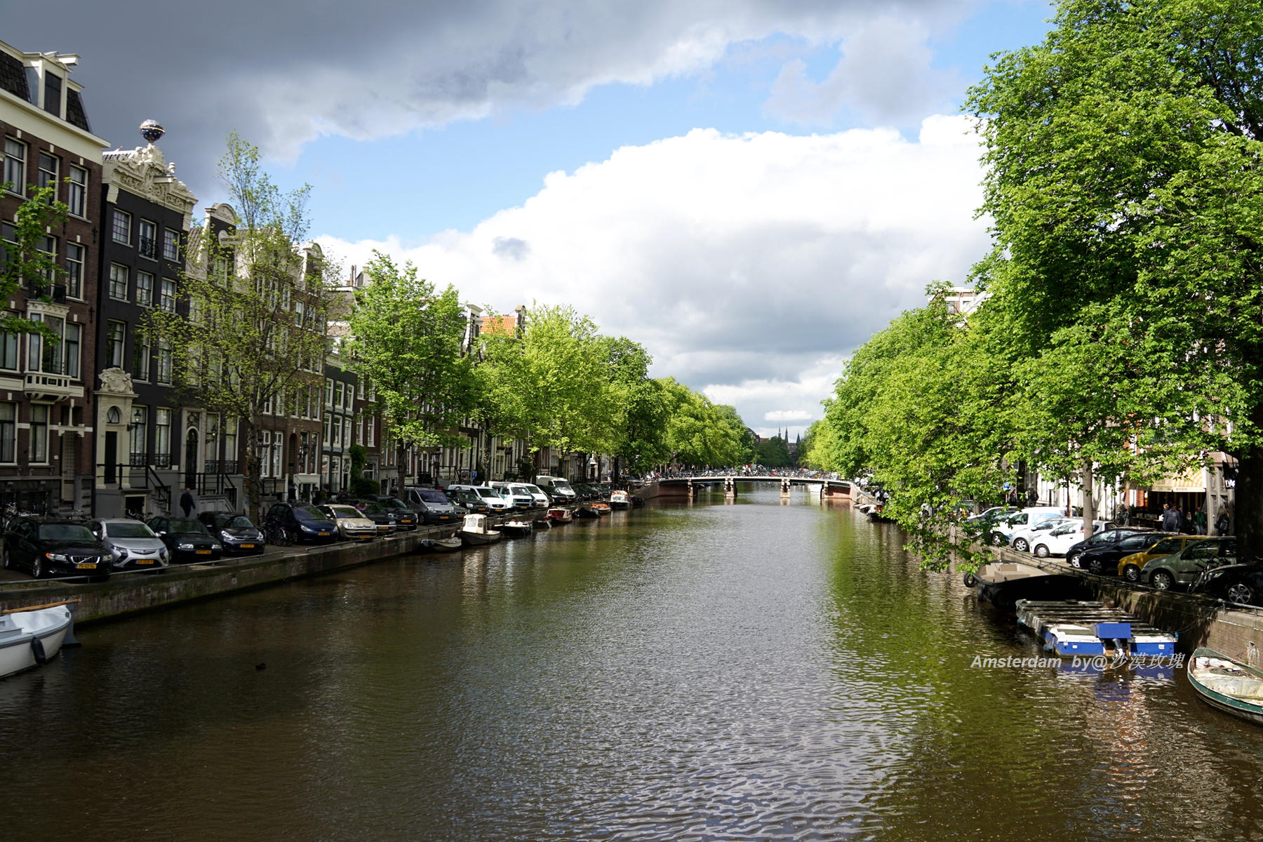 带你观赏荷兰郁金香,荷兰郁金香花海什么时候开