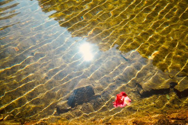 夏季温州必游十大景点,温州内风景好的地方