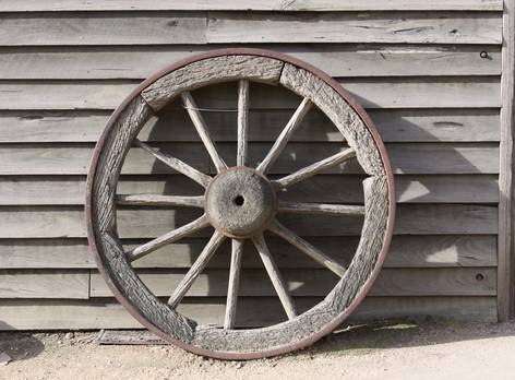 一位中医人的临床思考,中医粉常说的几句话