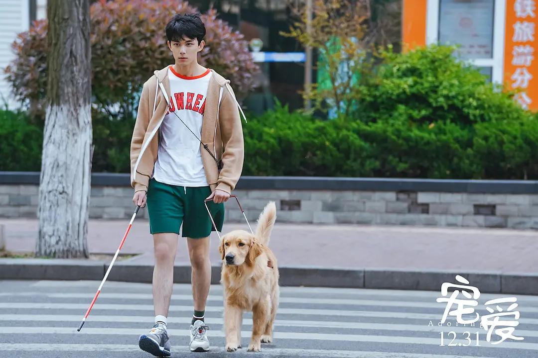 史上最成功烂片狂揽几十亿票房,票房超10亿的五部烂片