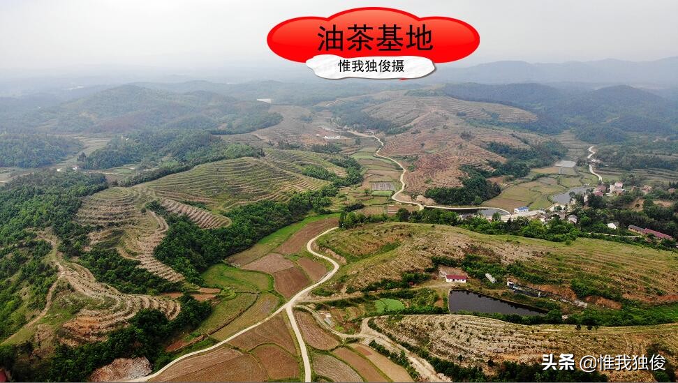 随州拱桥河村,致富不忘众乡亲