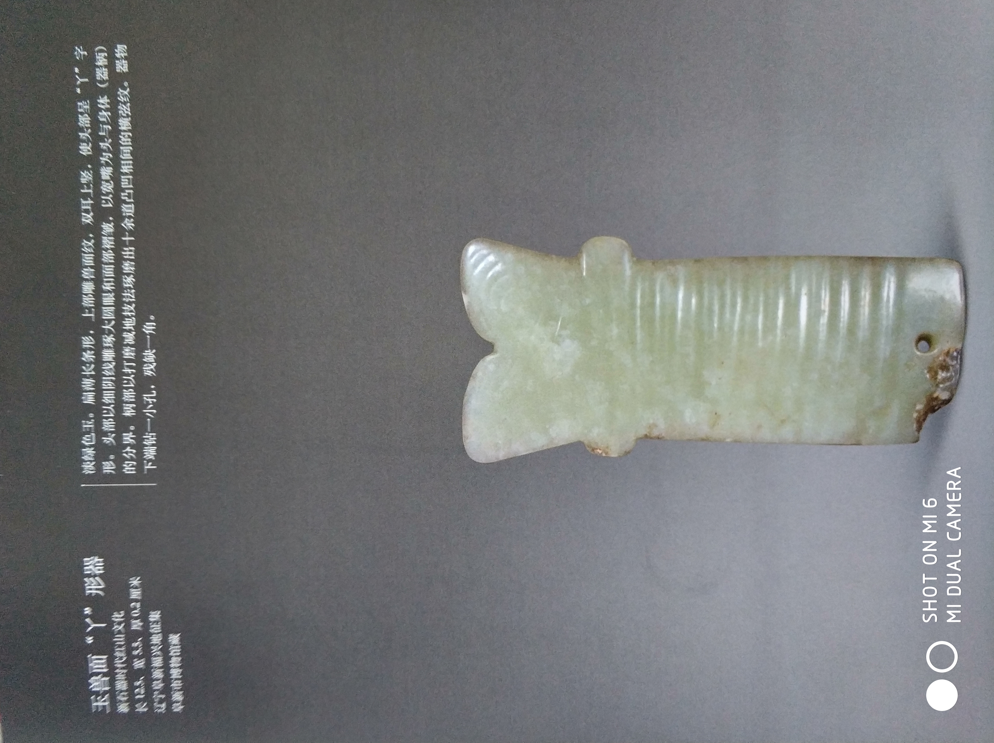 中国龙原型,中国龙的原型是什么