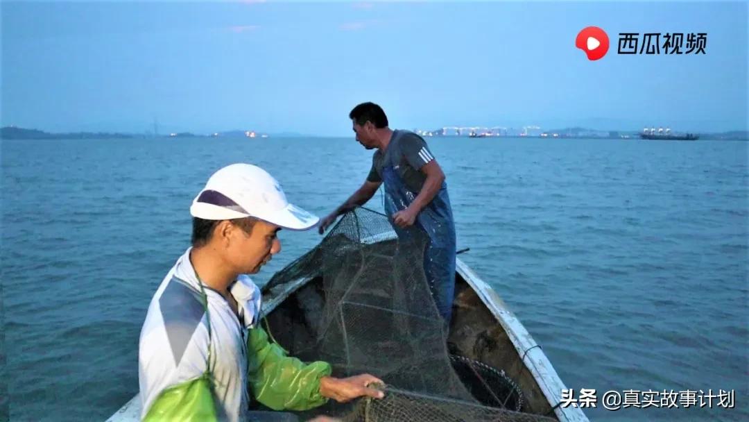 跟思乡渔夫一起赶海的阿烽去哪了,渔人阿烽赶海抓到了50斤的大鱼