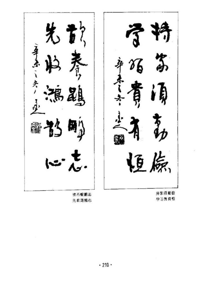 杨再春五言对联书法1000条欣赏,杨再春七言山水对联书法