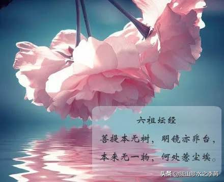 临济寺禅宗祖庭,正定临济寺为什么是临济宗祖庭