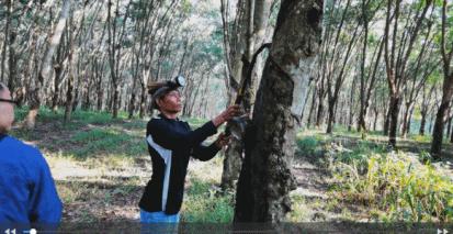 SAWALI我们的品牌我们的情怀