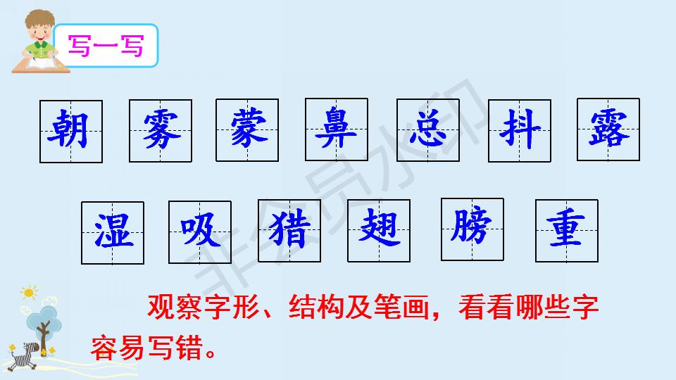 部编版父亲和鸟课件,父亲树林和鸟ppt教材解析
