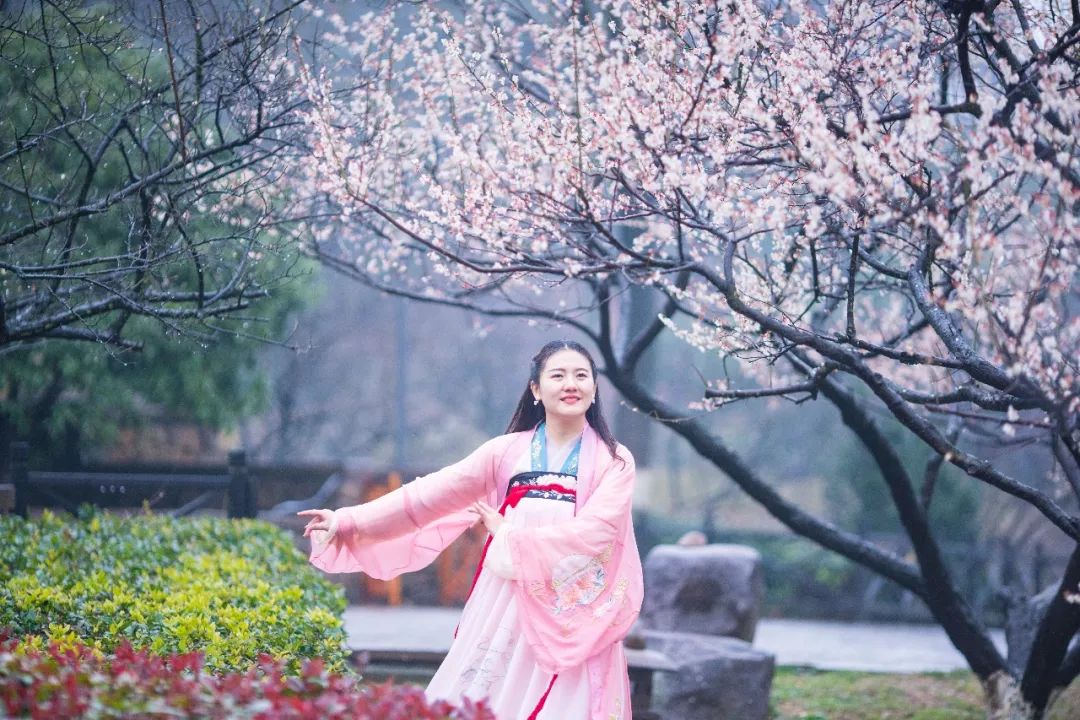 杭州孤山梅园图片,杭州赏梅园