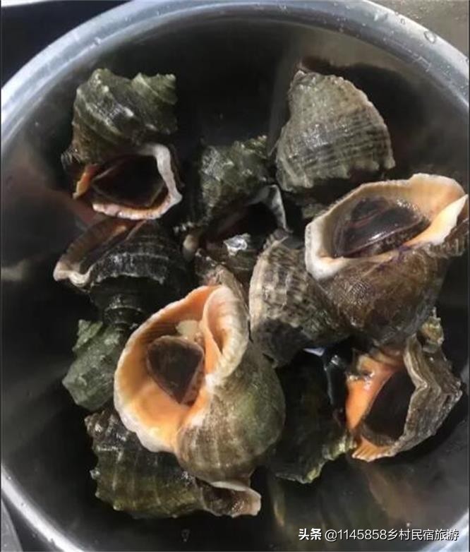 乐亭附近遛娃,乐亭遛娃好去处