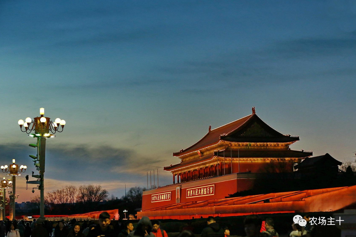 从沿街乞讨到身家亿万，“特养教父”32年的农业路堪称一部传奇史