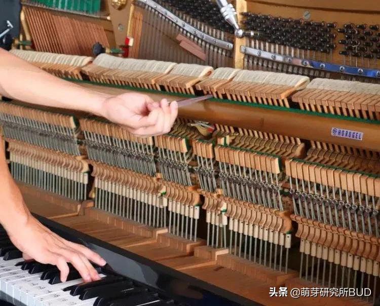 高端钢琴如何挑选,怎么挑钢琴品牌呢