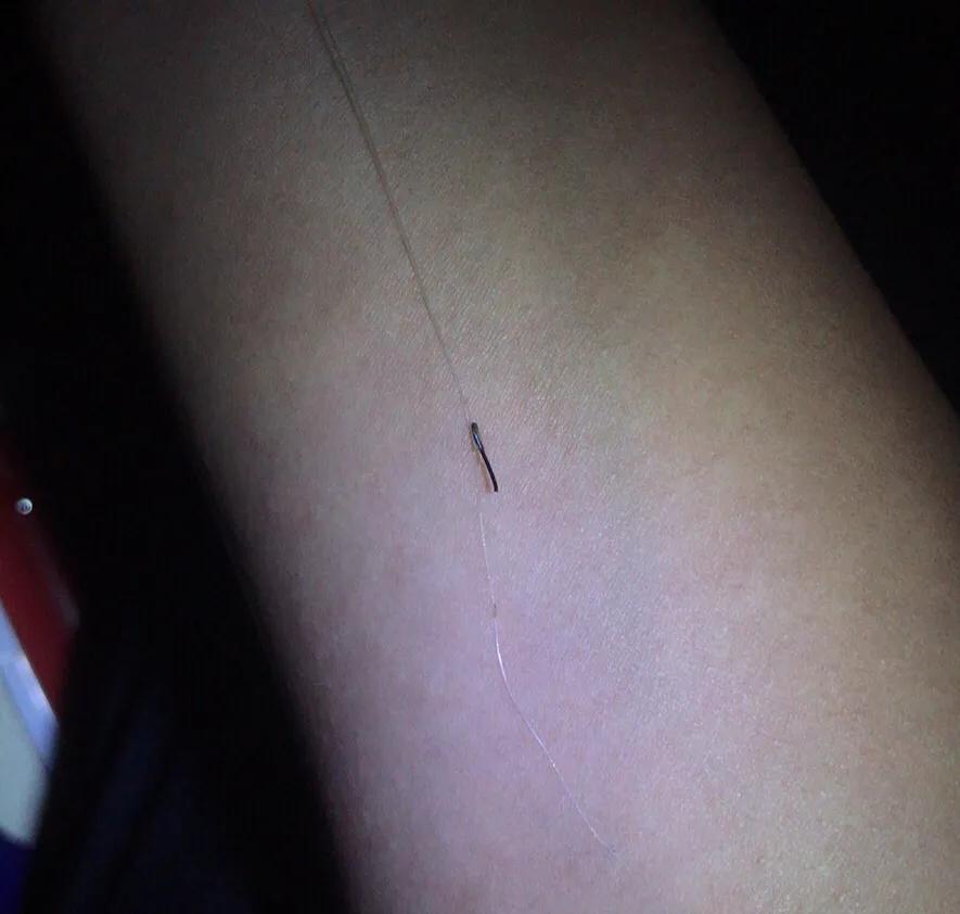 野钓主线子线搭配一招搞定,野钓子线最佳搭配