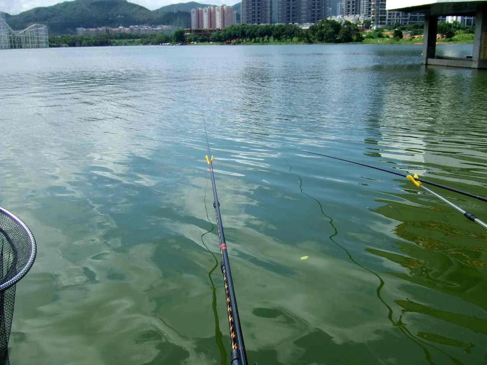 深圳南澳野钓免费最佳地点,深圳光明附近哪里可以野钓