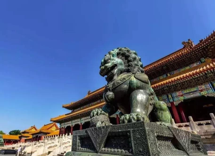 狮子山下,狮子迁徙几千公里