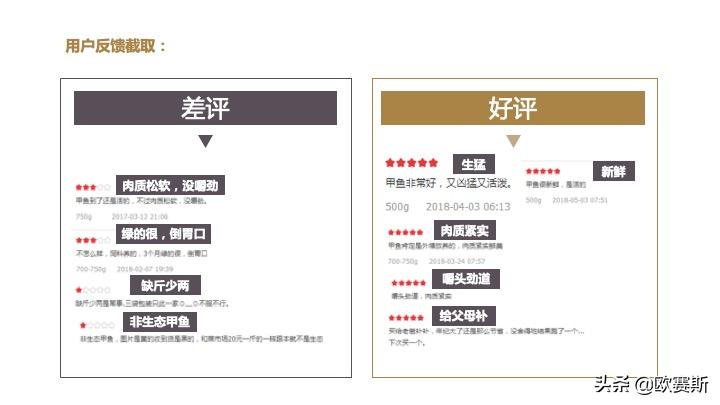 欧赛斯带你全方位洞察甲鱼市场发展趋势及竞争格局