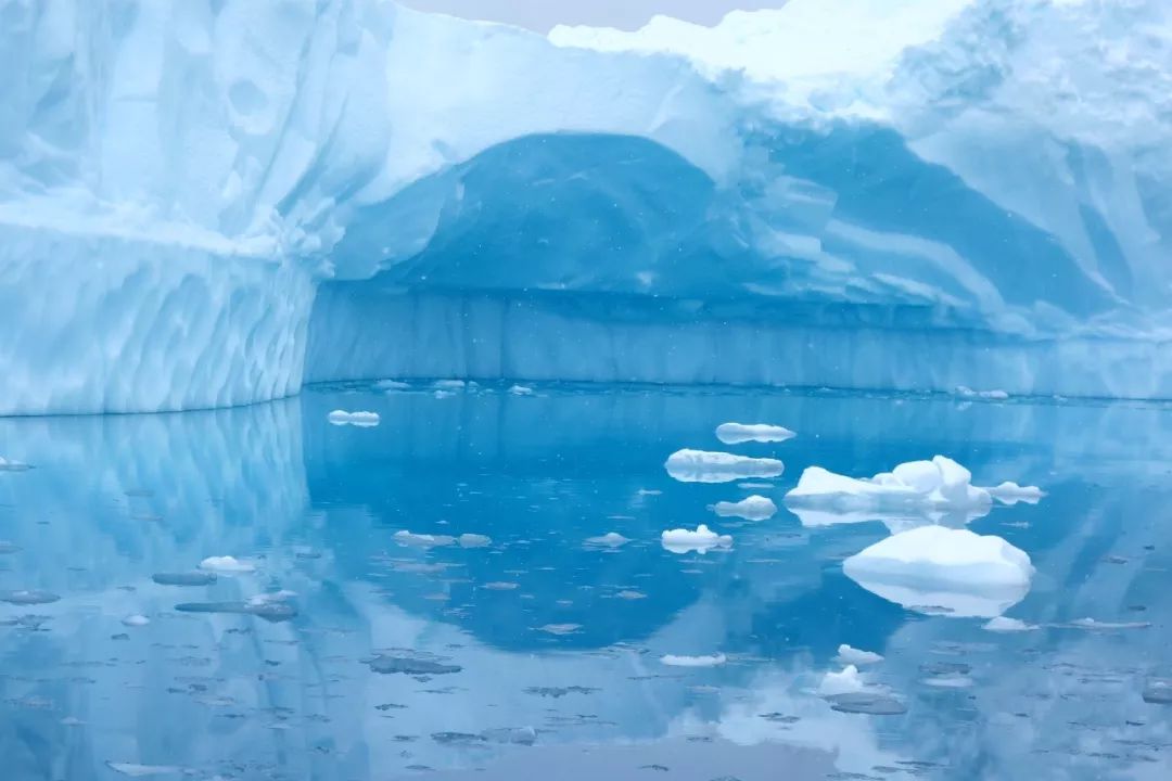 去南极能走出这个世界吗,为什么现在都要去南极