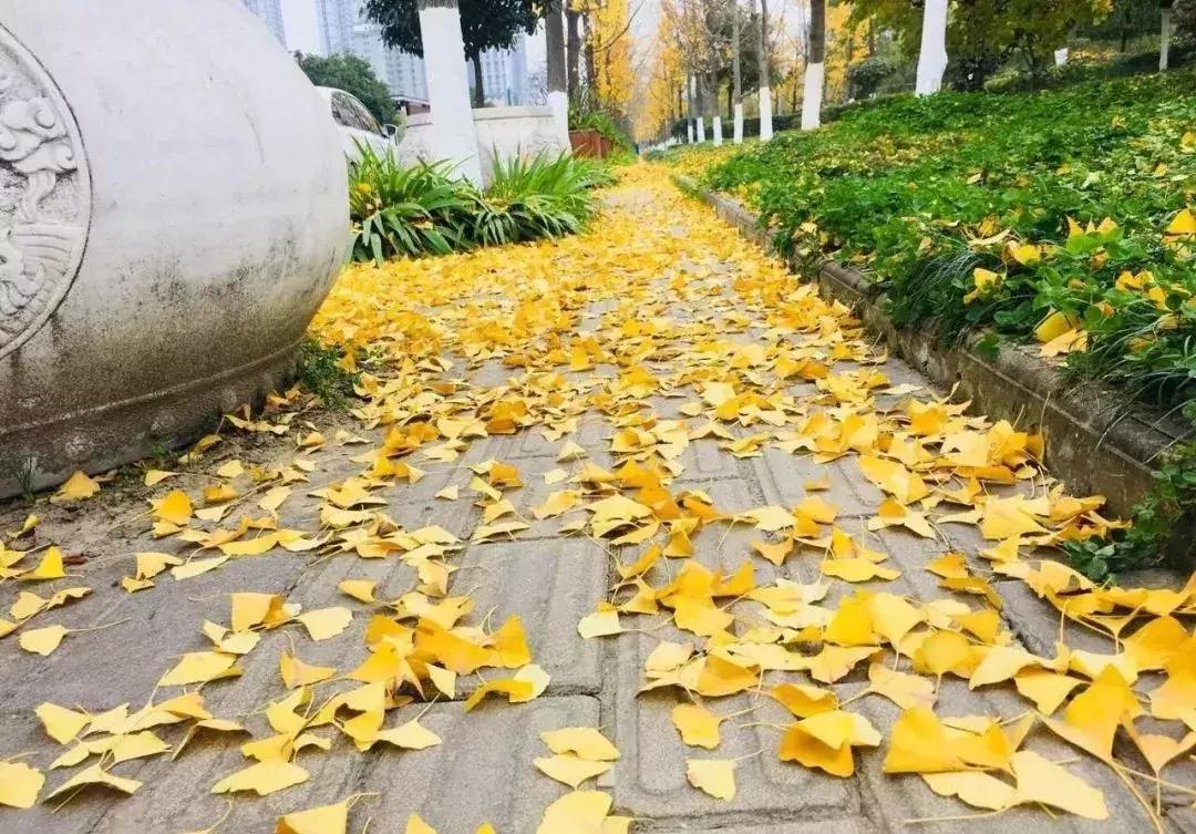 汉台半日游,汉台区一日游