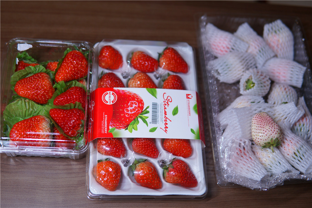 如何在网上买到真草莓,怎么在网上买正宗丹东草莓
