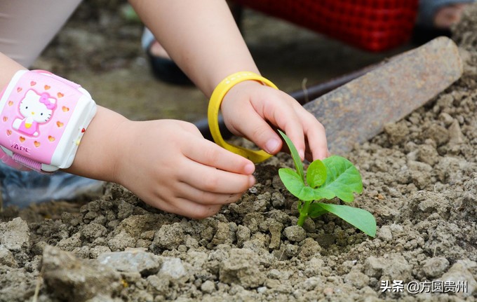 这个夏日，看这个美女如何在浙江乌村的第一百种玩法