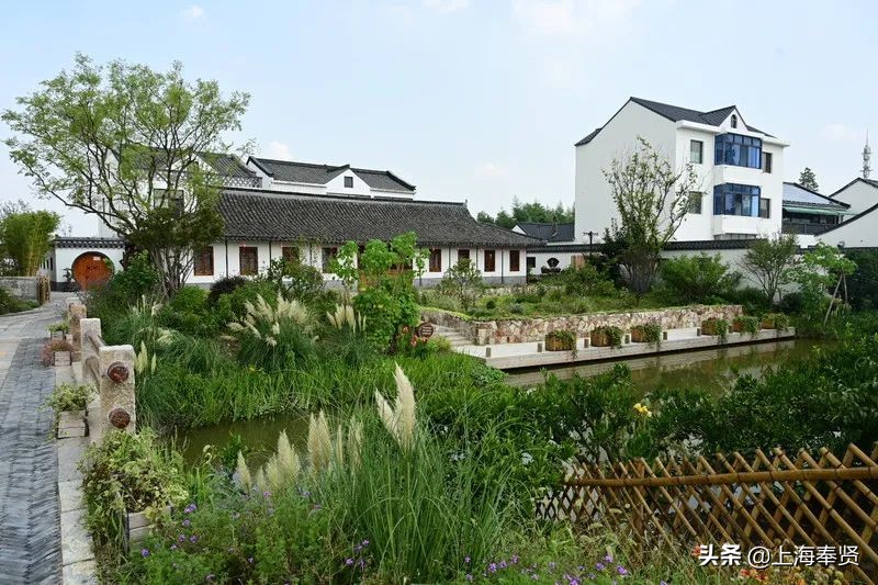 奉贤五一游玩打卡的地方,奉贤休闲度假游玩攻略
