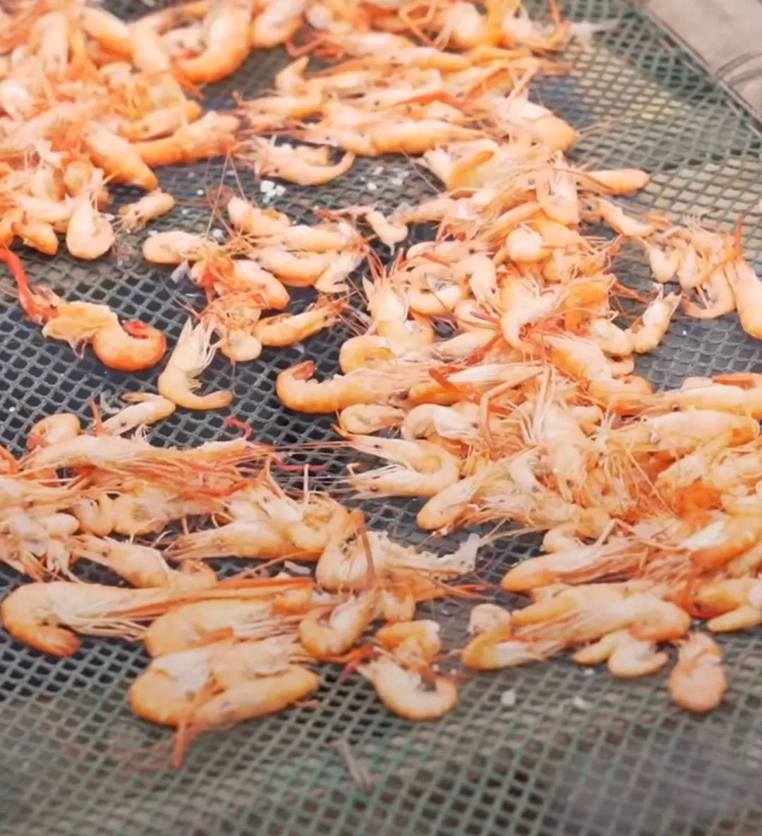 广东最没存在感城市,广东最具有粤味的城市