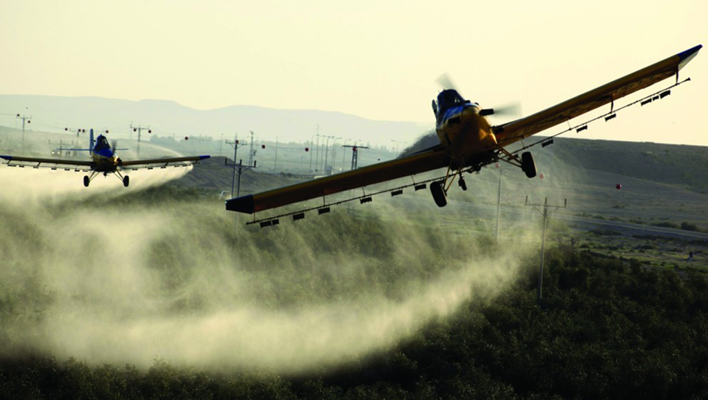 人为把蝗虫聚在一起会引发蝗灾吗,发生蝗灾蝗虫天敌去哪了