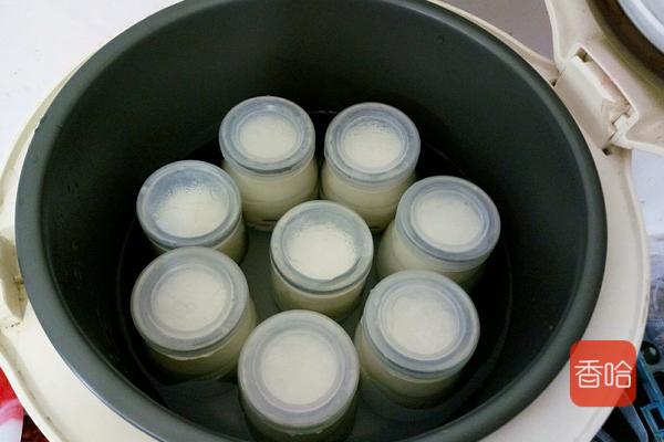 教你自制酸奶，最简单的方式，浓稠又好喝，家人抢着喝