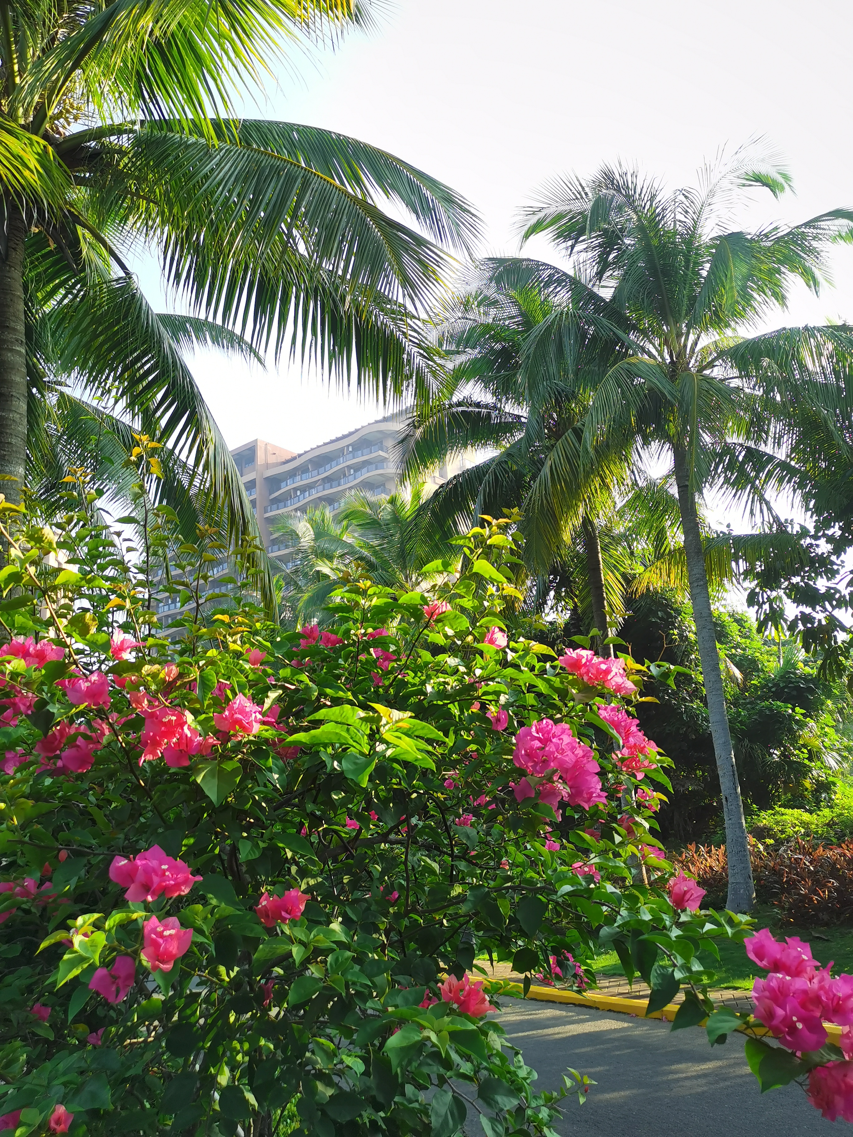 鍗氶硨璁哄潧姘镐箙浼氬潃涓囨硥娌冲叆娴峰彛,涓囨硥娌冲叆娴峰彛
