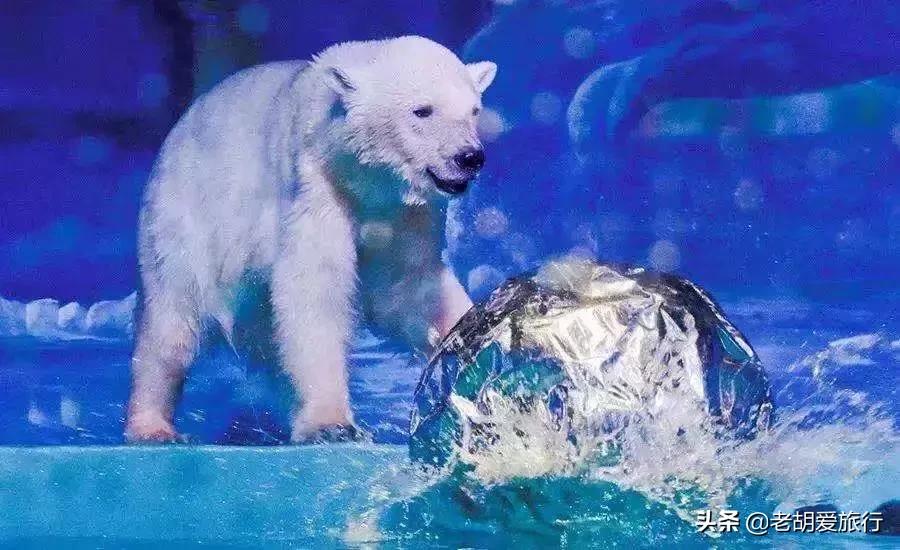 三八妇女节旅游景点门票哪里免费,三八妇女节有哪些景点免门票的