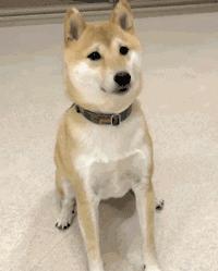 tara智妍2017,tara智妍仿妆