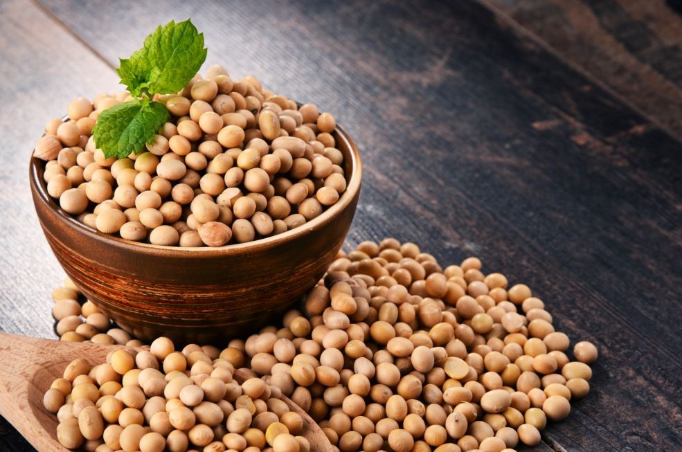 减肥胸围一般能降多少,减肥胸围不缩水的方法